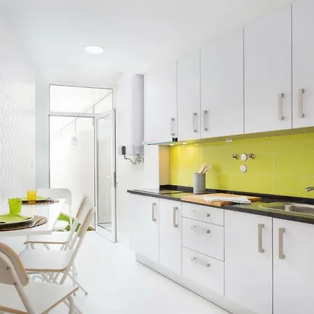 Zoo House Ii *